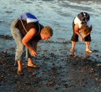 strand_1
